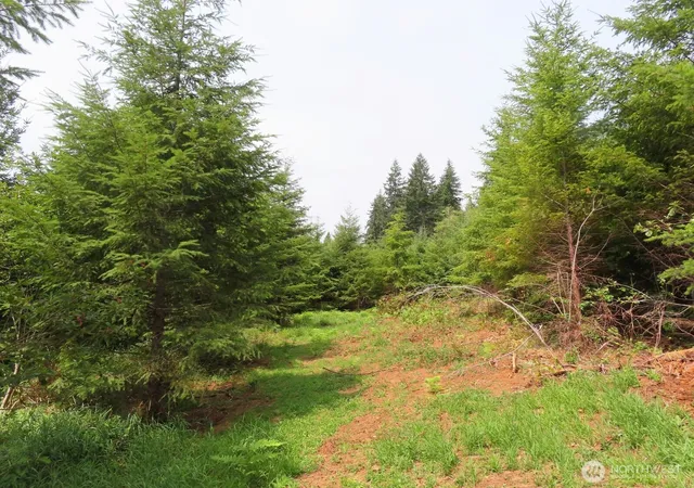 Photo 1 of Land for sale at 0 Lot H Ml Crk Ln, Longview, WA 98632 | MLS# NWM2417693 | Listing updated on 2026-09-17