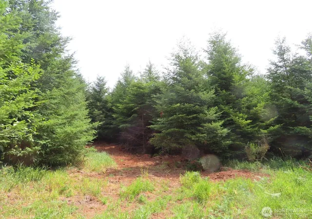 Photo 2 of Land for sale at 0 Lot H Ml Crk Ln, Longview, WA 98632 | MLS# NWM2417693 | Listing updated on 2026-09-17
