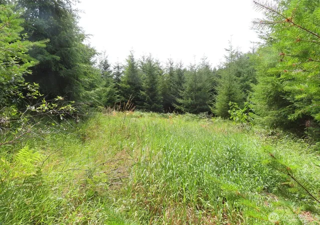 Photo 3 of Land for sale at 0 Lot H Ml Crk Ln, Longview, WA 98632 | MLS# NWM2417693 | Listing updated on 2026-09-17