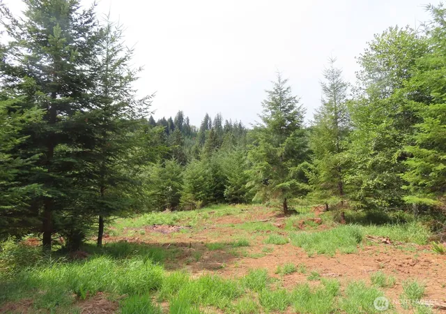 Photo 4 of Land for sale at 0 Lot H Ml Crk Ln, Longview, WA 98632 | MLS# NWM2417693 | Listing updated on 2026-09-17
