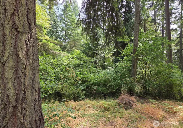 Photo 3 of Land for sale at 22041 Clear Lake Blvd SE, Yelm, WA 98597 | MLS# NWM2418057 | Listing updated on 2026-09-17
