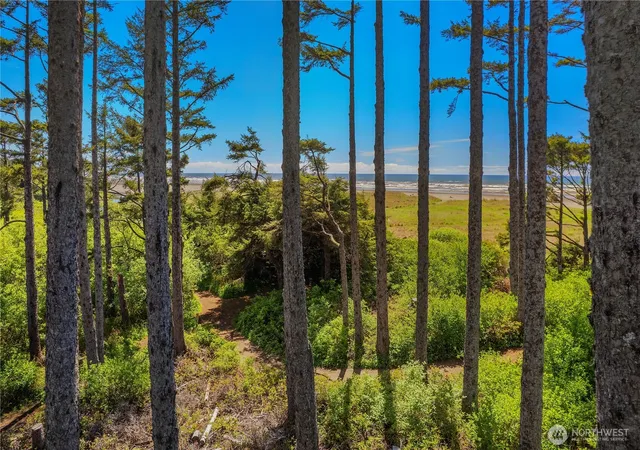 Photo 2 of Single family home for sale at 34 Seaside Ln, Pacific Beach, WA 98571 | MLS# NWM2418197 | Listing updated on 2026-09-17
