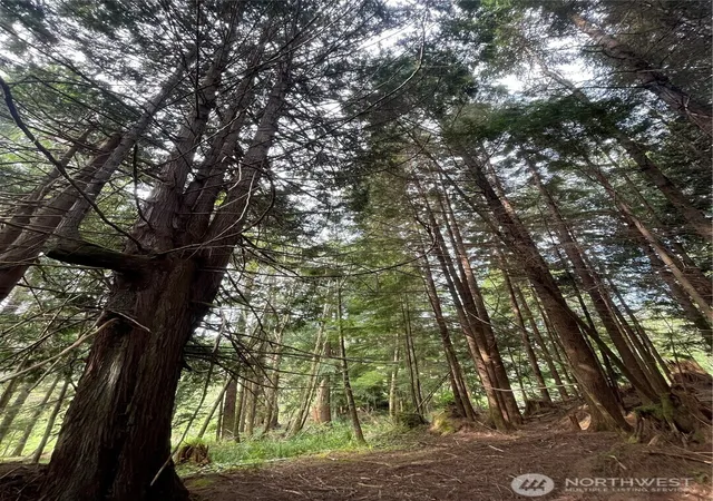Photo 3 of Land for sale at 29 Spruce Ct, South Bend, WA 98586 | MLS# NWM2419180 | Listing updated on 2026-09-17