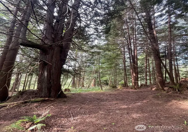 Photo 3 of Land for sale at 29 Spruce Ct, South Bend, WA 98586 | MLS# NWM2419180 | Listing updated on 2026-09-17