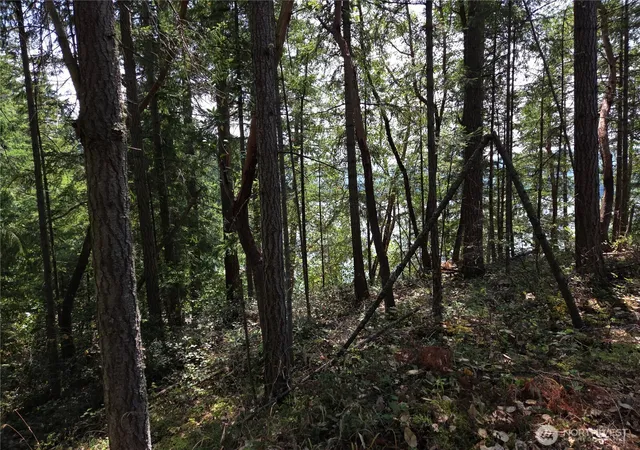 Land for sale at 22137 Clear Lake Blvd SE, Yelm, WA 98597 | MLS# NWM2419531