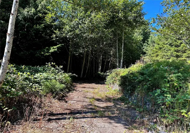 Photo 2 of Land for sale at 11 Williams Ct, Brinnon, WA 98320 | MLS# NWM2419630 | Listing updated on 2026-09-17