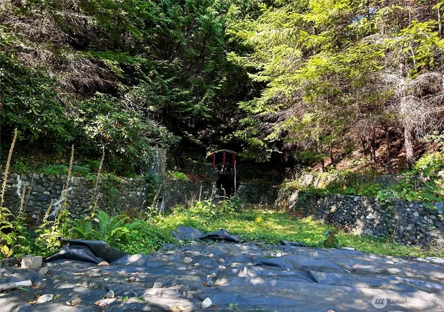 Photo 3 of Land for sale at 11 Williams Ct, Brinnon, WA 98320 | MLS# NWM2419630 | Listing updated on 2026-09-17