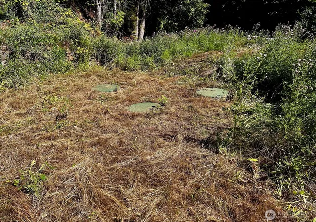 Photo 4 of Land for sale at 11 Williams Ct, Brinnon, WA 98320 | MLS# NWM2419630 | Listing updated on 2026-09-17