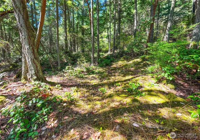 Photo 4 of Land for sale at 7121 Is View Dr, Anacortes, WA 98221 | MLS# NWM2419766 | Listing updated on 2026-09-17