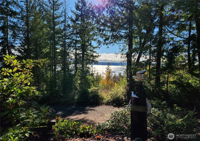 Photo 3 of Single family home for sale at 222 Towhee Ln, Brinnon, WA 98320 | MLS# NWM2419942 | Listing updated on 2026-09-17