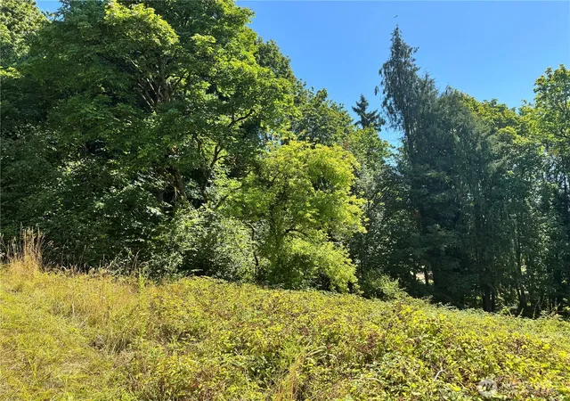 Photo 4 of Land for sale at 106 Bridgeview Ln, Longview, WA 98632 | MLS# NWM2422011 | Listing updated on 2026-09-17