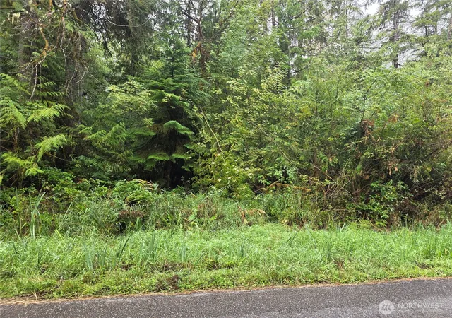 Photo 2 of Land for sale at 1581 E Phillips Lake Loop Rd, Shelton, WA 98584 | MLS# NWM2422271 | Listing updated on 2026-09-17