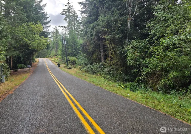 Photo 3 of Land for sale at 1581 E Phillips Lake Loop Rd, Shelton, WA 98584 | MLS# NWM2422271 | Listing updated on 2026-09-17
