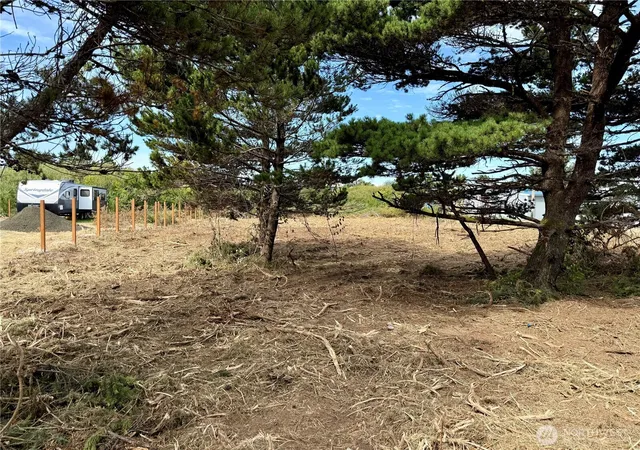 Photo 3 of Land for sale at 96 X State Route 105, Grayland, WA 98547 | MLS# NWM2422303 | Listing updated on 2026-09-17