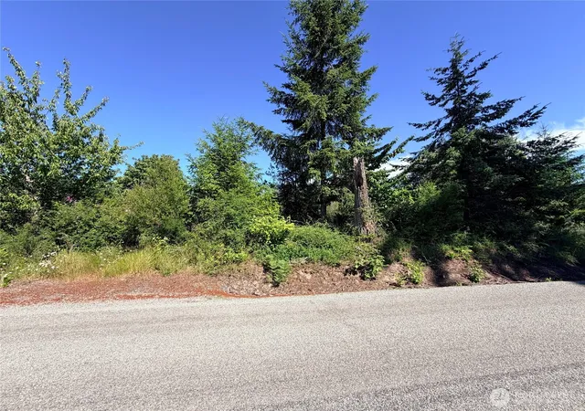 Photo 4 of Land for sale at 2721 158th Avenue SW, Lakebay, WA 98349 | MLS# NWM2423064 | Listing updated on 2026-09-17