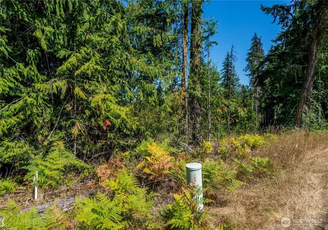 Photo 3 of Land for sale at 0 Xx Township Line Rd, Port Angeles, WA 98362 | MLS# NWM2423149 | Listing updated on 2026-09-17