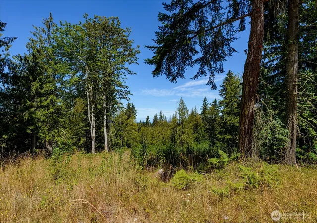 Photo 4 of Land for sale at 0 Xx Township Line Rd, Port Angeles, WA 98362 | MLS# NWM2423149 | Listing updated on 2026-09-17