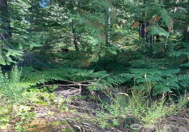 Land for sale at 21 N Goldeneye Dr, Hoodsport, WA 98548 | MLS# NWM2423965