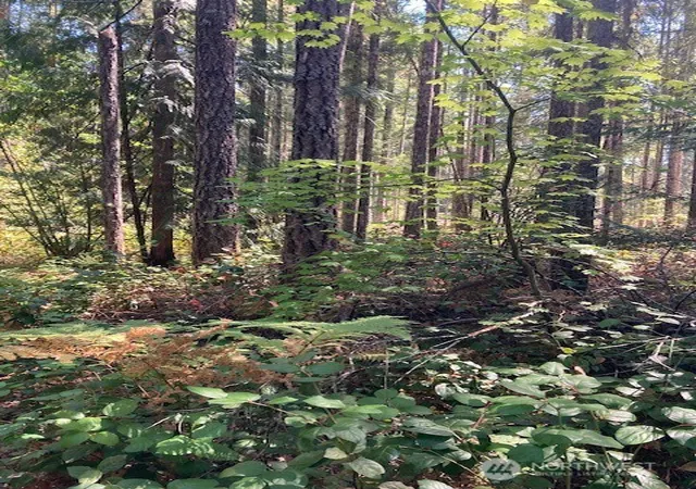 Photo 3 of Land for sale at 21 N Goldeneye Dr, Hoodsport, WA 98548 | MLS# NWM2423965 | Listing updated on 2026-09-17