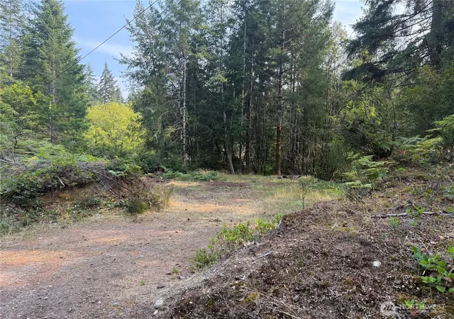 Photo 2 of Land for sale at 31 E Tintagel Pl, Shelton, WA 98584 | MLS# NWM2424071 | Listing updated on 2026-09-30