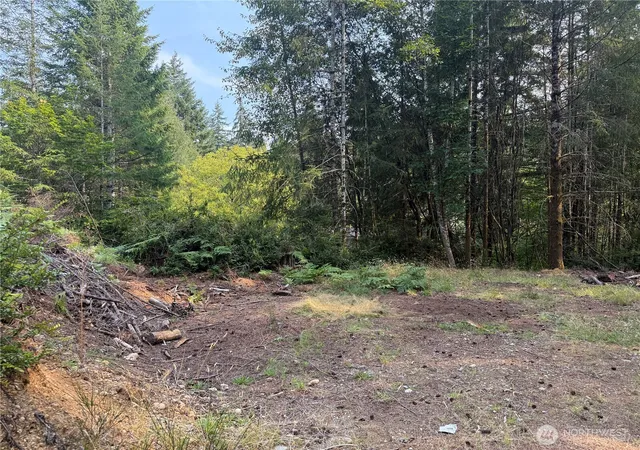 Photo 3 of Land for sale at 31 E Tintagel Pl, Shelton, WA 98584 | MLS# NWM2424071 | Listing updated on 2026-09-30