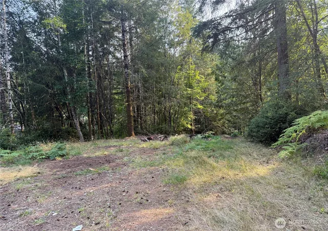 Photo 3 of Land for sale at 31 E Tintagel Pl, Shelton, WA 98584 | MLS# NWM2424071 | Listing updated on 2026-09-30