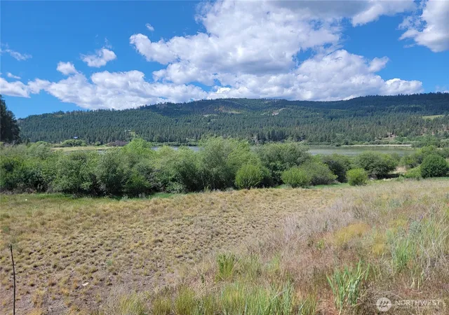 Photo 1 of Land for sale at 0 Curlew Dr, Republic, WA 99166 | MLS# NWM2424775 | Listing updated on 2026-09-17