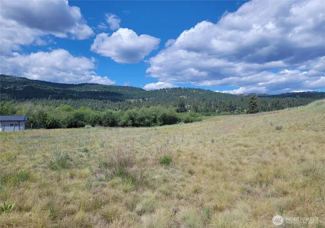 Photo 2 of Land for sale at 0 Curlew Dr, Republic, WA 99166 | MLS# NWM2424775 | Listing updated on 2026-09-17