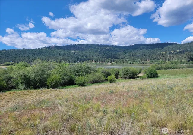 Photo 3 of Land for sale at 0 Curlew Dr, Republic, WA 99166 | MLS# NWM2424775 | Listing updated on 2026-09-17