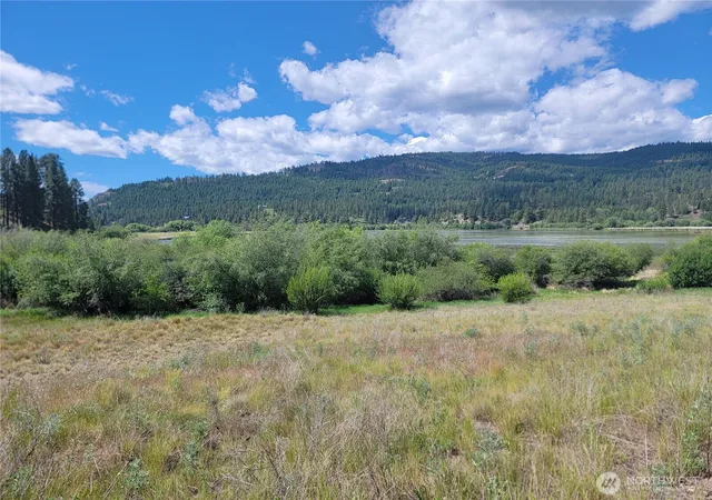 Photo 3 of Land for sale at 0 Curlew Dr, Republic, WA 99166 | MLS# NWM2424775 | Listing updated on 2026-09-17