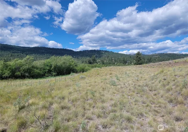 Photo 4 of Land for sale at 0 Curlew Dr, Republic, WA 99166 | MLS# NWM2424775 | Listing updated on 2026-09-17
