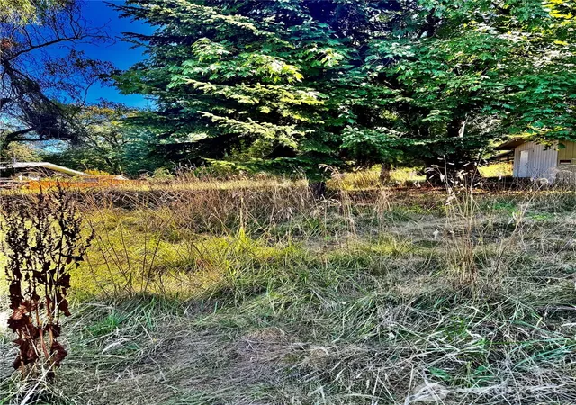 Photo 4 of Land for sale at 0 93rd Avenue S, Kent, WA 98031 | MLS# NWM2425621 | Listing updated on 2026-09-17