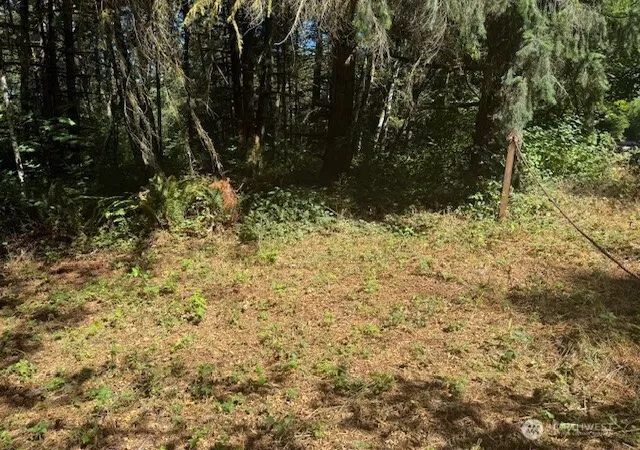 Photo 3 of Land for sale at 20325 Bucoda Hwy SE, Centralia, WA 98531 | MLS# NWM2426725 | Listing updated on 2026-09-17