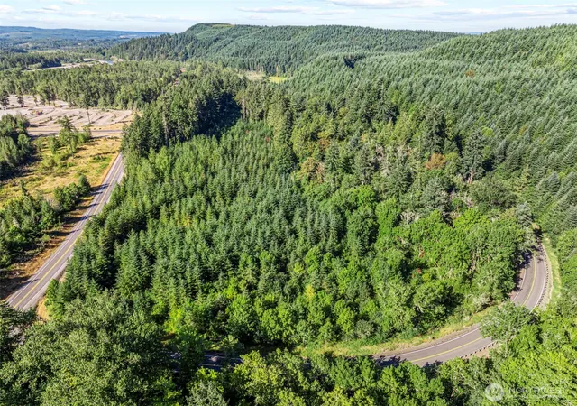 Photo 3 of Land for sale at 0 Nka Tower Rd, Toutle, WA 98649 | MLS# NWM2426861 | Listing updated on 2026-09-17