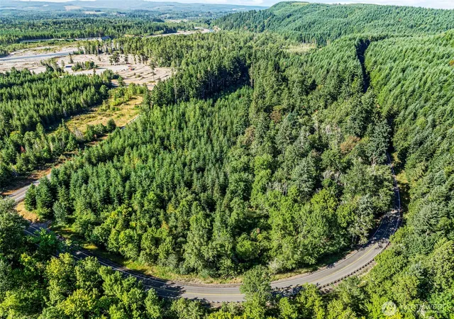 Photo 4 of Land for sale at 0 Nka Tower Rd, Toutle, WA 98649 | MLS# NWM2426861 | Listing updated on 2026-09-17