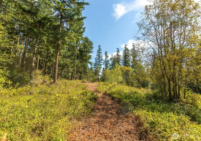 Photo 1 of Land for sale at 9999 Discovery Rd, Port Townsend, WA 98368 | MLS# NWM2427061 | Listing updated on 2026-09-17