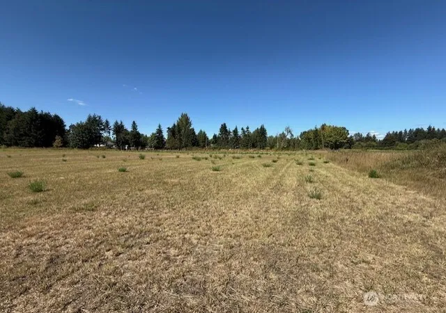 Photo 2 of Land for sale at 127 Anglers Ln, Chehalis, WA 98532 | MLS# NWM2427149 | Listing updated on 2026-09-17