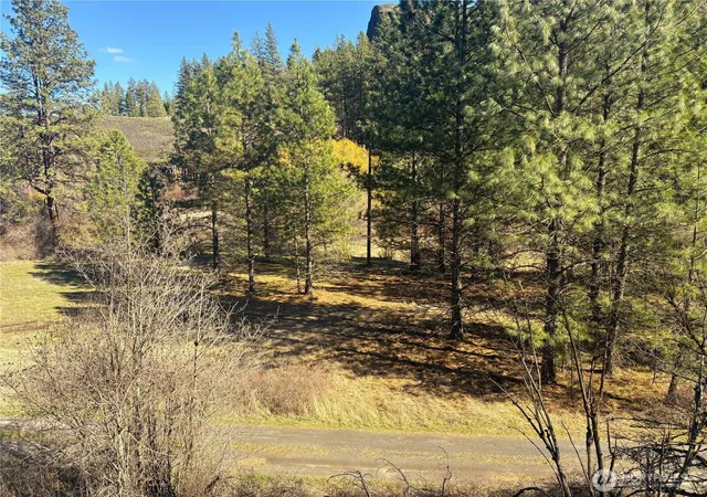 Photo 4 of Sale Pending at 32900 Hawk Crk Ranch Rd N, Davenport, WA 99122 | MLS# NWM2427806 | Listing updated on 2026-10-20
