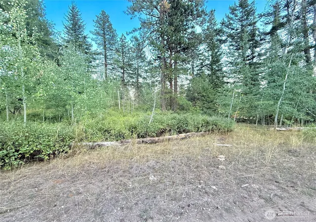 Photo 1 of Land for sale at 0 Tbd Buzzard Lake Rd, Okanogan, WA 98840 | MLS# NWM2428723 | Listing updated on 2026-09-17