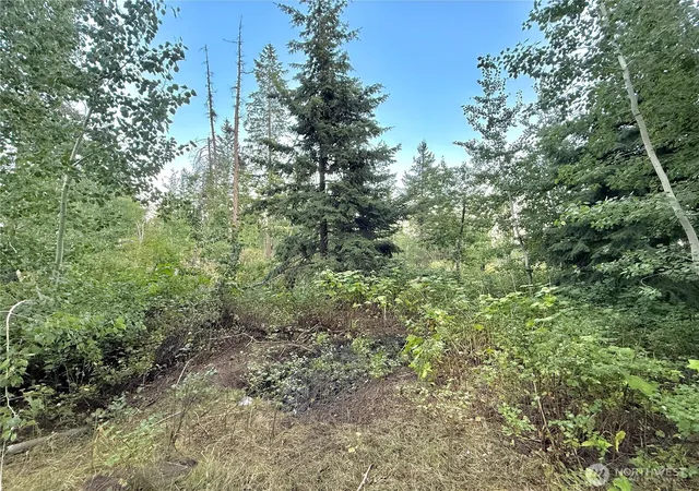 Photo 2 of Land for sale at 0 Tbd Buzzard Lake Rd, Okanogan, WA 98840 | MLS# NWM2428723 | Listing updated on 2026-09-17