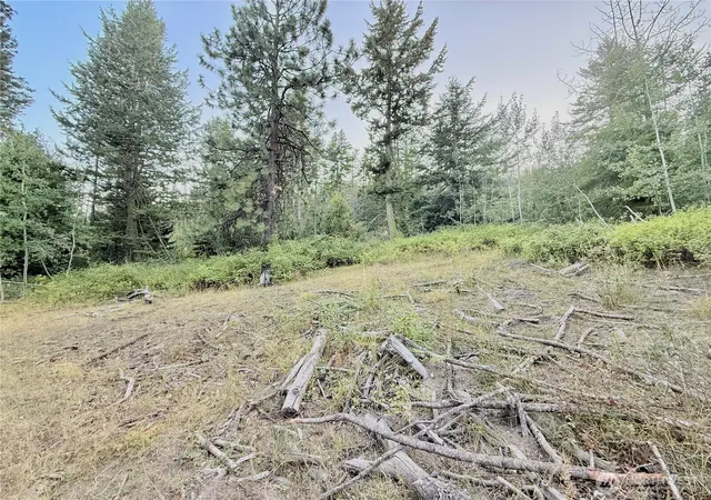 Photo 3 of Land for sale at 0 Tbd Buzzard Lake Rd, Okanogan, WA 98840 | MLS# NWM2428723 | Listing updated on 2026-09-17