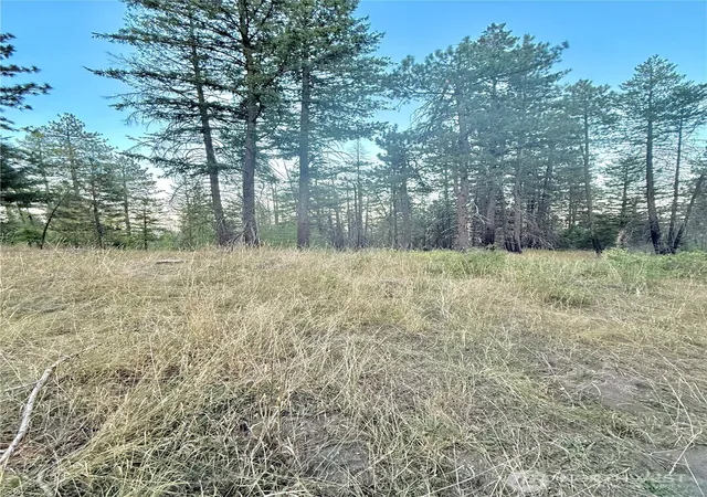 Photo 4 of Land for sale at 0 Tbd Buzzard Lake Rd, Okanogan, WA 98840 | MLS# NWM2428723 | Listing updated on 2026-09-17