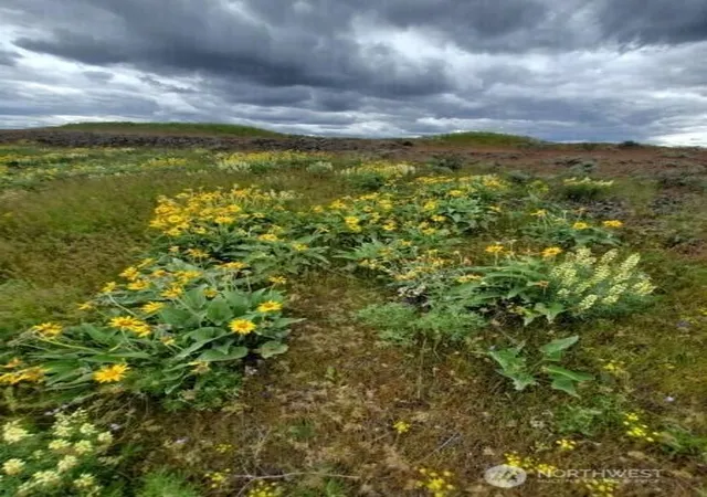 Photo 3 of Land for sale at 0 Earl Rd N, Davenport, WA 99122 | MLS# NWM2429257 | Listing updated on 2026-09-17