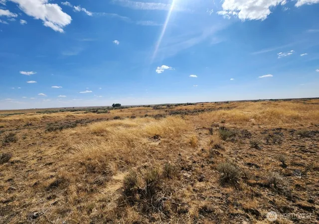 Photo 4 of Land for sale at 0 Earl Rd N, Davenport, WA 99122 | MLS# NWM2429257 | Listing updated on 2026-09-17