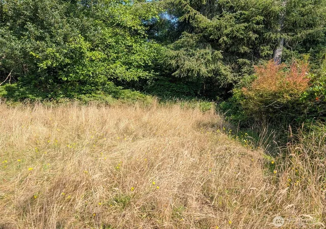 Photo 3 of Land for sale at 618 Sunset Ave Ne, Ocean Shores, WA 98569 | MLS# NWM2430411 | Listing updated on 2026-09-17