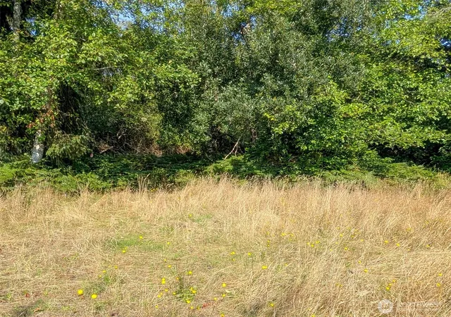 Photo 3 of Land for sale at 618 Sunset Ave NE, Ocean Shores, WA 98569 | MLS# NWM2430411 | Listing updated on 2026-09-17