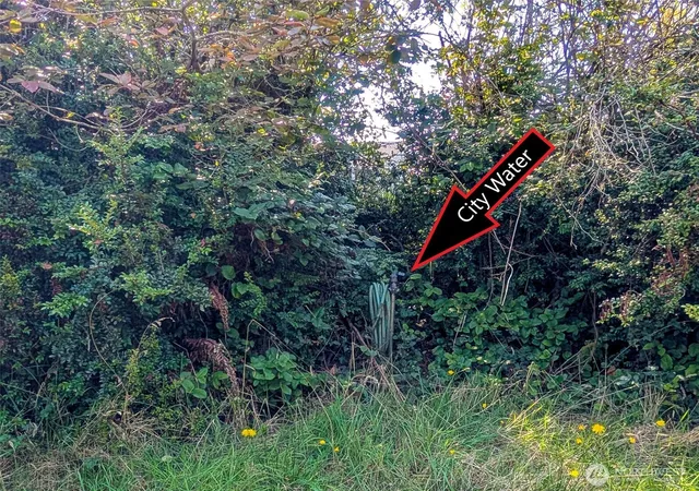 Photo 4 of Land for sale at 618 Sunset Ave NE, Ocean Shores, WA 98569 | MLS# NWM2430411 | Listing updated on 2026-09-17