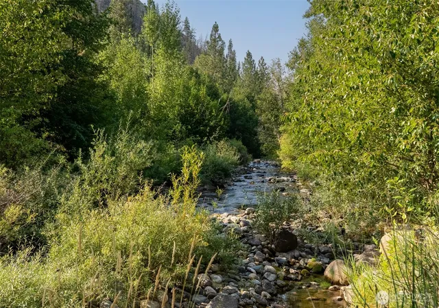 Land for sale at 88 Tbd Gold Crk Rd, Carlton, WA 98814 | MLS# NWM2430466