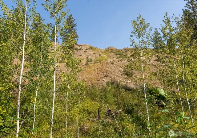 Photo 4 of Land for sale at 88 Tbd Gold Crk Rd, Carlton, WA 98814 | MLS# NWM2430466 | Listing updated on 2026-09-17