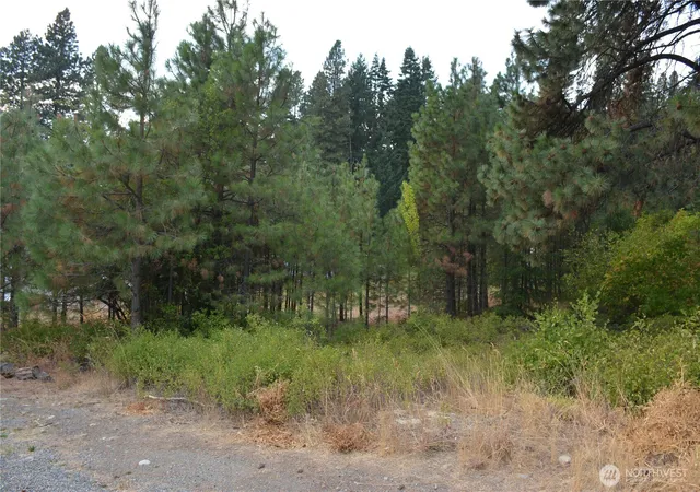 Photo 3 of Land for sale at 203 E Nevada Ave, Roslyn, WA 98941 | MLS# NWM2431521 | Listing updated on 2026-09-29